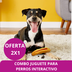 COMBO JUGUETE 2X1 INTERACTIVO