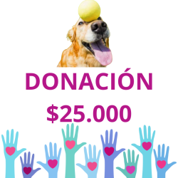 DONACION TODO POR ELLOS
