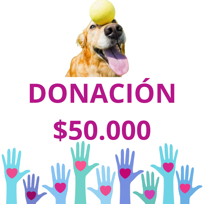 DONACION TODO POR ELLOS