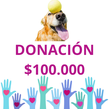 copy of copy of DONACION TODO POR ELLOS