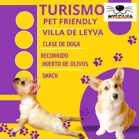 PLAN VILLA DE LEYVA  HUERTO DE OLIVOS