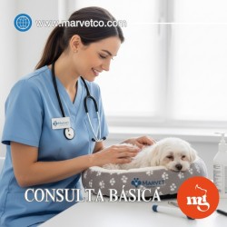 copy of CONSULTA BASICA VETERINARIA