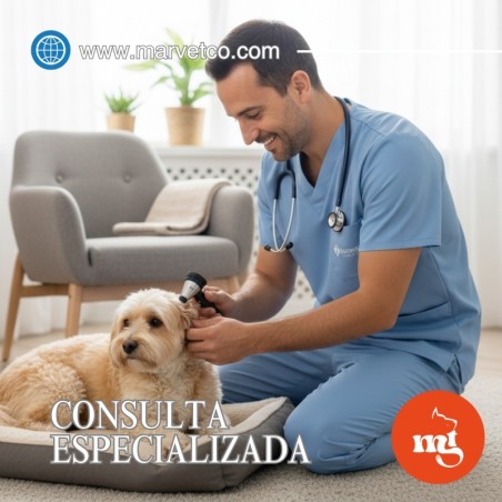 copy of copy of CONSULTA BASICA VETERINARIA