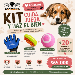 COMBO CUIDA ,JUEGA Y HAZ EL BIEN