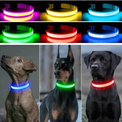 COMBO CUIDA ,JUEGA Y HAZ EL BIEN COLLAR +GUANTE