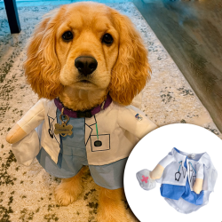 DISFRAZ MASCOTAS DOCTOR