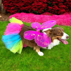 DISFRAZ MACOTAS MARIPOSA