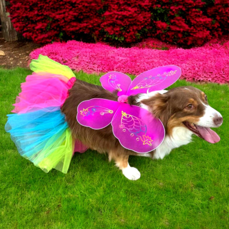 DISFRAZ MACOTAS MARIPOSA