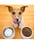 COMEDEROS Y BEBEDEROS