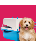 GUACALES Y MALETINES