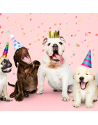 CUMPLEAÑOS MASCOTAS